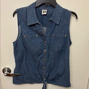 Anne Klein Blue Sleeveless Button Down Top